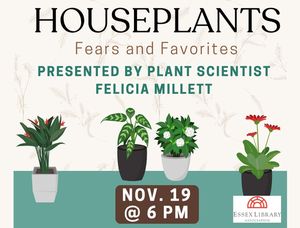 Houseplants: Fears a